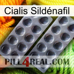 Cialis Sildénafil 31